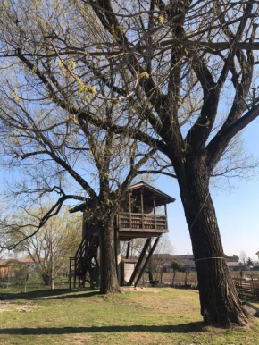 La Casa sull'albero Oasi Certosa di Pavia